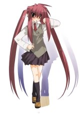 BUY NEW tori koro - 175182 Premium Anime Print Poster